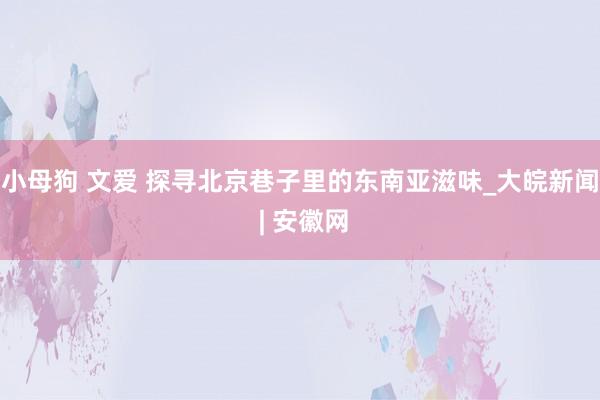 小母狗 文爱 探寻北京巷子里的东南亚滋味_大皖新闻 | 安徽网