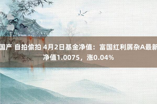 国产 自拍偷拍 4月2日基金净值：富国红利羼杂A最新净值1.0075，涨0.04%