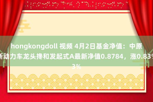 hongkongdoll 视频 4月2日基金净值：中原新动力车龙头搀和发起式A最新净值0.8784，涨0.83%