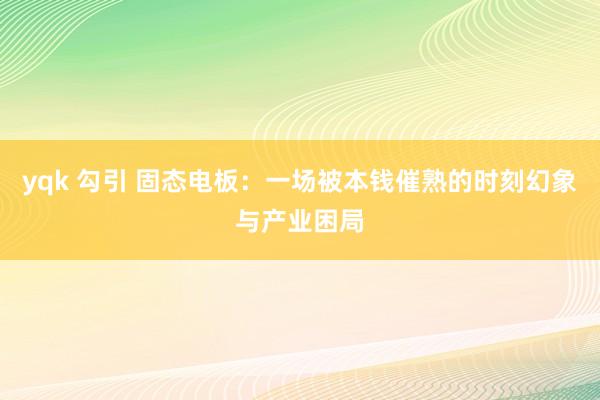 yqk 勾引 固态电板：一场被本钱催熟的时刻幻象与产业困局