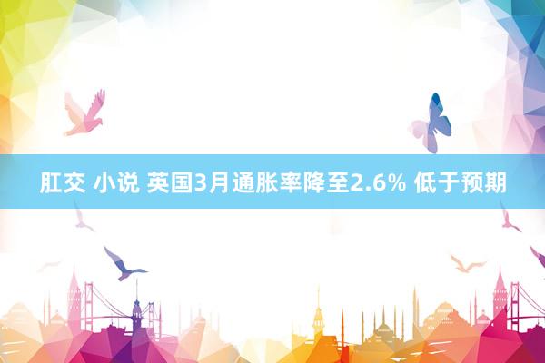 肛交 小说 英国3月通胀率降至2.6% 低于预期