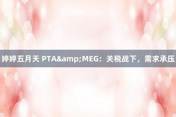 婷婷五月天 PTA&MEG：关税战下，需求承压
