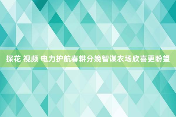 探花 视频 电力护航春耕分娩　智谋农场欣喜更盼望