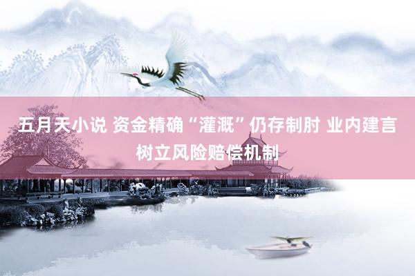 五月天小说 资金精确“灌溉”仍存制肘 业内建言树立风险赔偿机制