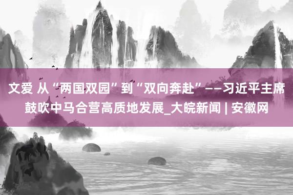 文爱 从“两国双园”到“双向奔赴”——习近平主席鼓吹中马合营高质地发展_大皖新闻 | 安徽网