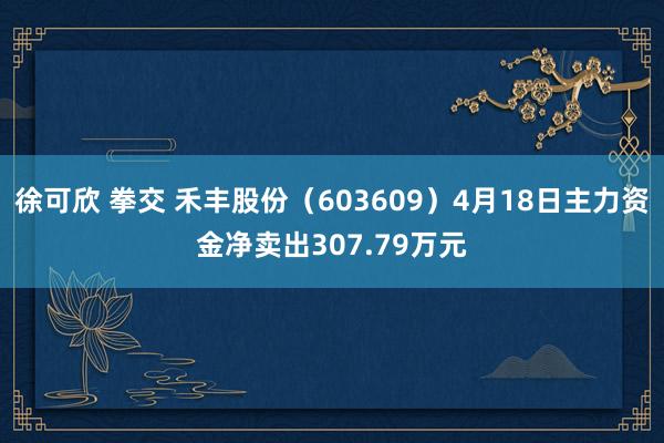 徐可欣 拳交 禾丰股份（603609）4月18日主力资金净卖出307.79万元