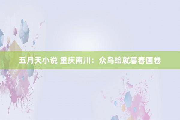 五月天小说 重庆南川：众鸟绘就暮春画卷