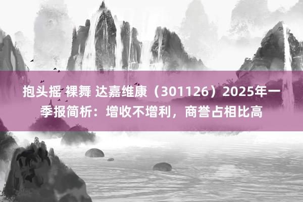 抱头摇 裸舞 达嘉维康（301126）2025年一季报简析：增收不增利，商誉占相比高