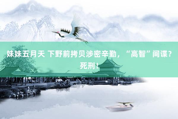 妹妹五月天 下野前拷贝涉密辛勤，“高智”间谍？死刑！
