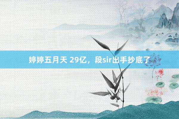 婷婷五月天 29亿，段sir出手抄底了