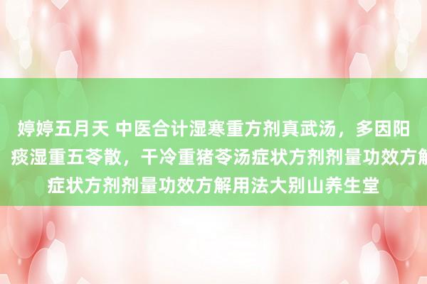 婷婷五月天 中医合计湿寒重方剂真武汤，多因阳虚或外感寒湿引起，痰湿重五苓散，干冷重猪苓汤症状方剂剂量功效方解用法大别山养生堂